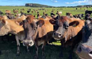 1480  State Highway 1, Glen Oroua
