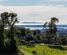 1039E Work Road, Whakamarama, Western Bay Of Plenty, Bay of Plenty