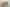 Wellington - Address withheld