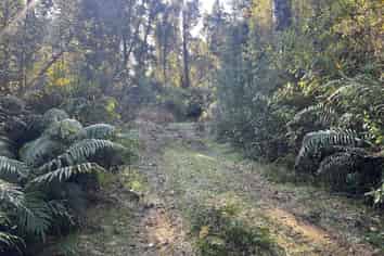 1 Kakapo Way, Moana