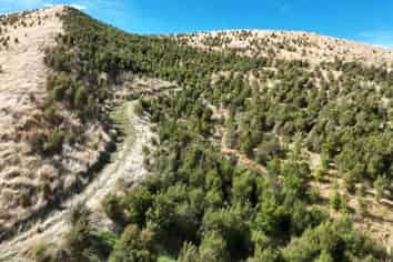  Waihoki Valley Road, Pongaroa