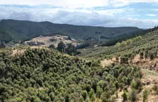  Waihoki Valley Road, Pongaroa