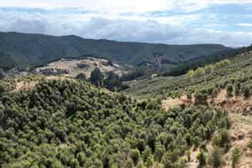  Waihoki Valley Road, Pongaroa