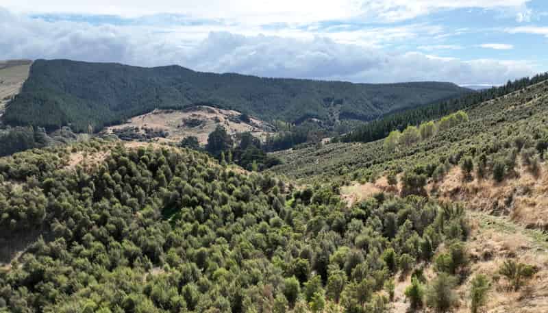  Waihoki Valley Road, Pongaroa