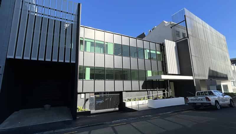  11-13 Falcon Street, Parnell