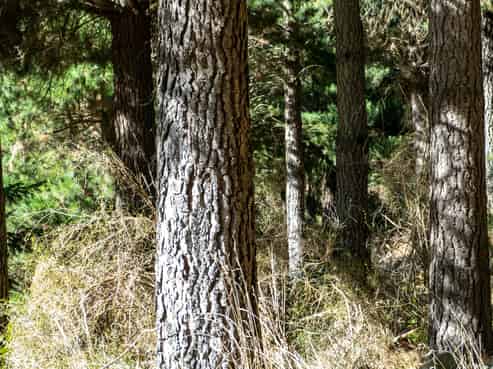 2381 Te Moana Road, Kakahu