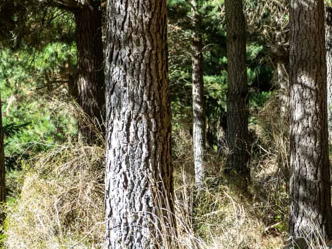 2381 Te Moana Road, Kakahu