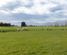 234 Kukutauaki Road, Levin, Horowhenua, Manawatu / Whanganui