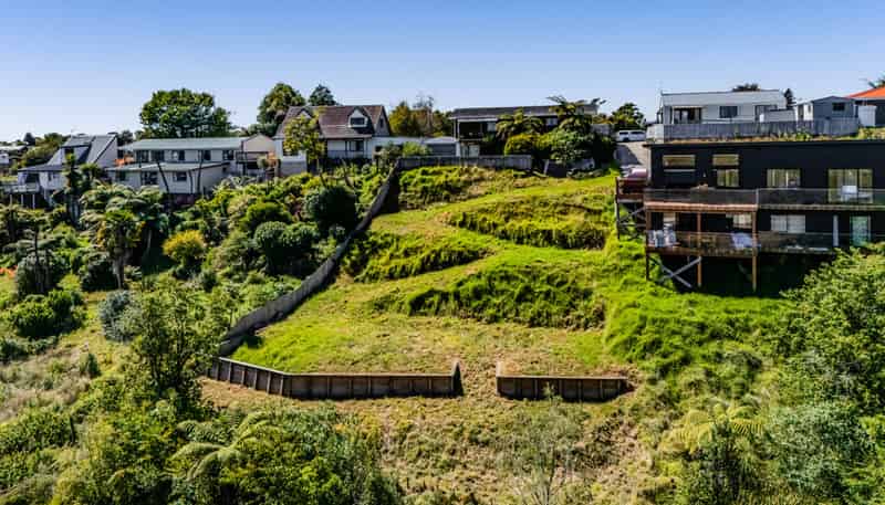 63b Heta Road, Highlands Park