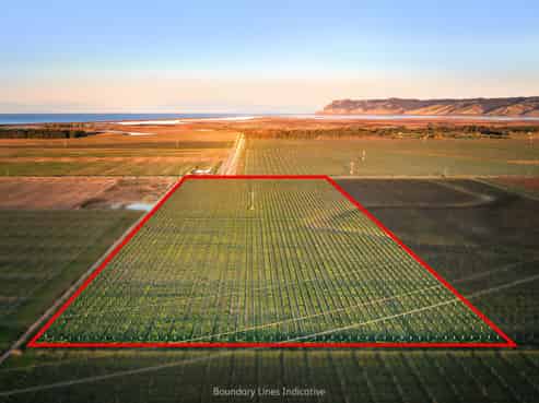 91 Eckfords Road, Blenheim