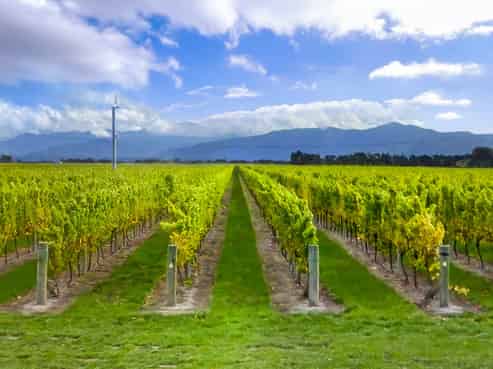 91 Eckfords Road, Blenheim