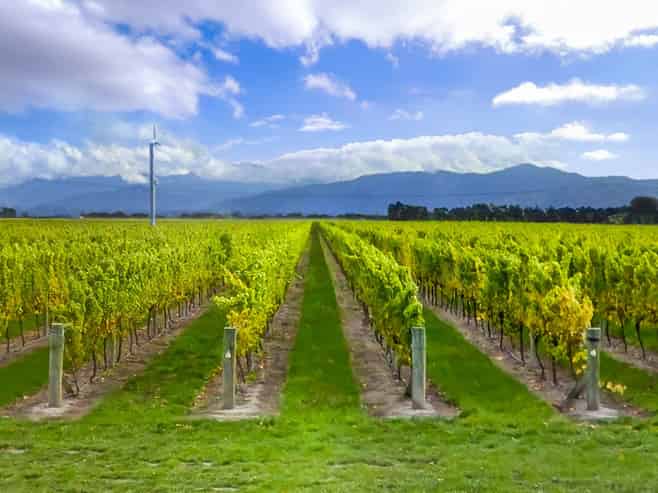 91 Eckfords Road, Blenheim