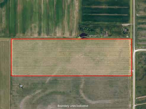 91 Eckfords Road, Blenheim