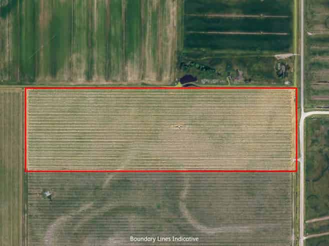 91 Eckfords Road, Blenheim