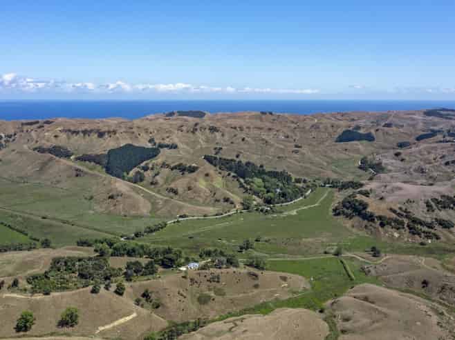 475 Te Akau South Road, Te Akau