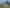 1075 Te Akau Road, Te Akau