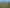 1075 Te Akau Road, Te Akau