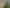 79 Sussex Street, Grey Lynn
