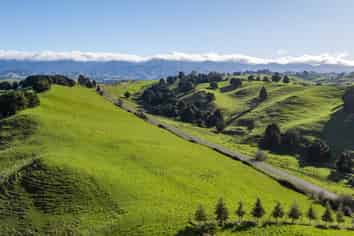 Lot 3, 613 Blackburn Road, Ongaonga