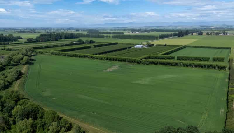  Winchester-Geraldine Highway, Geraldine