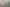 Auckland - Address withheld