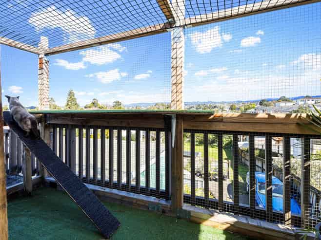 15 Colwill Road, Massey