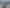 Prime Pukekohe development opportunity