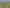 Resource consent for five standalone homes