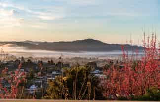 16 Louisa Lane, Kamo