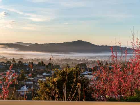 16 Louisa Lane, Kamo