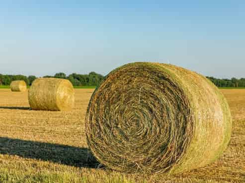 South Otago Agricultural Contracting Business