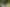 Auckland - Address withheld