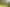 Luxurious forest haven - Auction