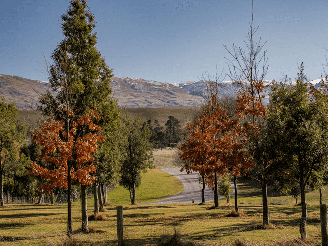 11 Thelma Place, Cromwell