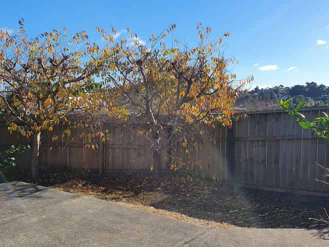 27A Pahi Place, West Harbour