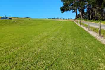 214 Okapu Place, Otorohanga