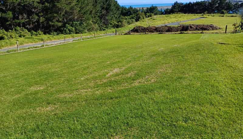 214 Okapu Place, Otorohanga