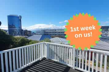 15/259 The Terrace, Te Aro