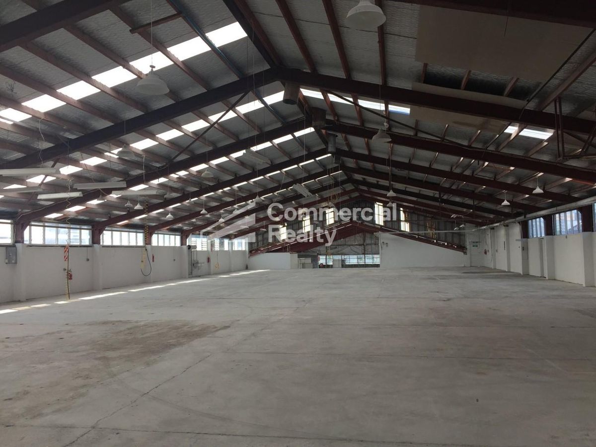 Large West Auckland Warehouse | Well Priced