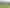 68 Dominion Rd, Papakura