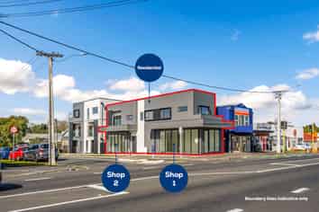 138 Marsden Avenue, Mount Eden