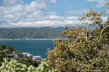 214 Barnard Street, Wadestown