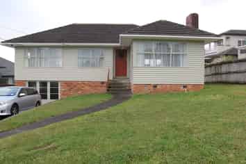 3 Budgen Street, Mount Roskill