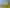 13 Forglen Place, Tawa