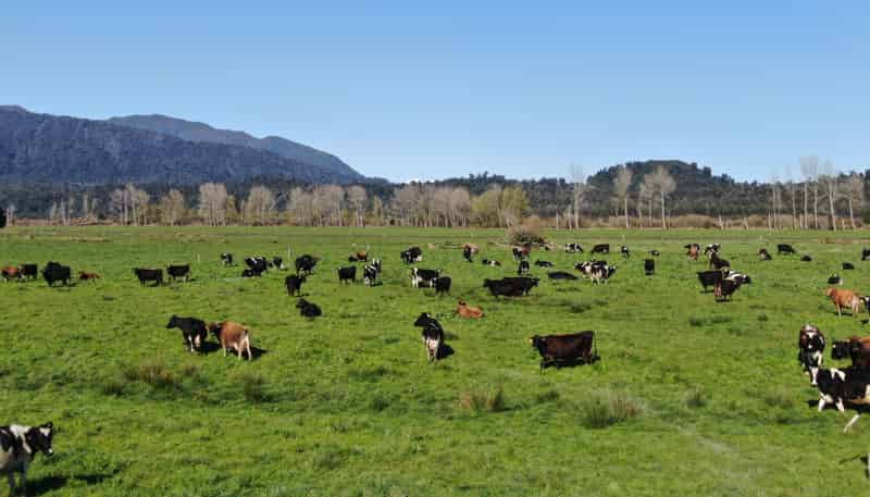 116-210 Waitaha Road, Kakapotahi