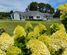 1199 Egmont Road, Egmont Village, New Plymouth, Taranaki