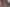 149 Frederick Street 2025, North Dunedin
