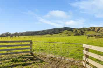 161, 167,  Gladstone Road, LEVIN