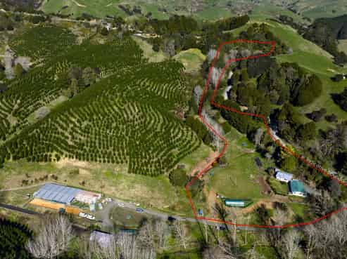 634 Otorohaea Trig Road, Waingaro