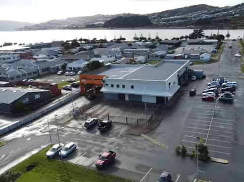Rare as hens teeth in Porirua!
